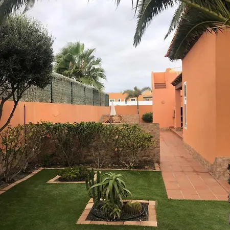 Rosas * La Oliva
